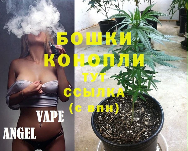 крисы Надым