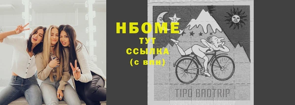 метадон Алексин