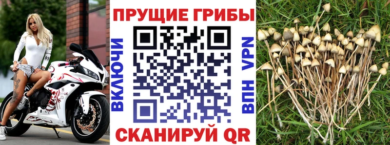 kraken вход  Чухлома  Галлюциногенные грибы MAGIC MUSHROOMS 